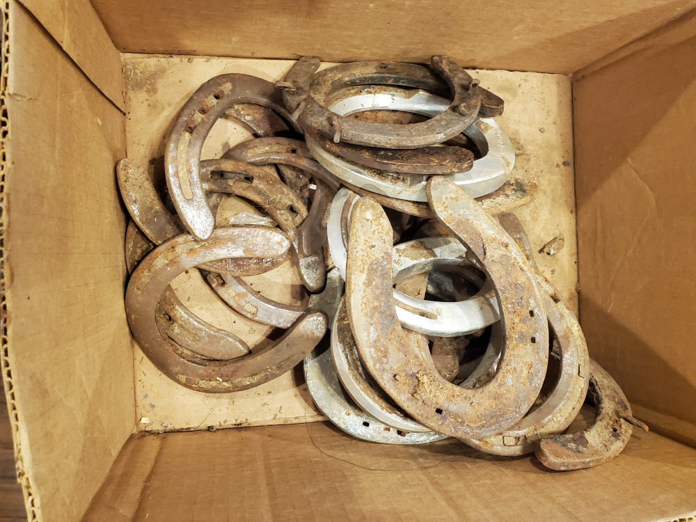 Used Horseshoes Swico Auctions