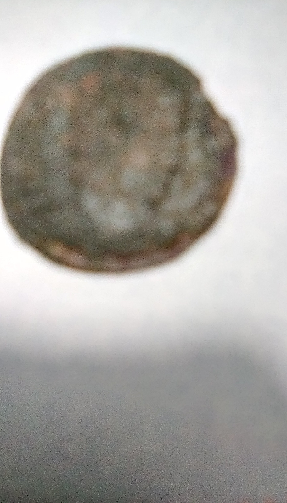 1500 + Year Old Roman Coin - Swico Auctions