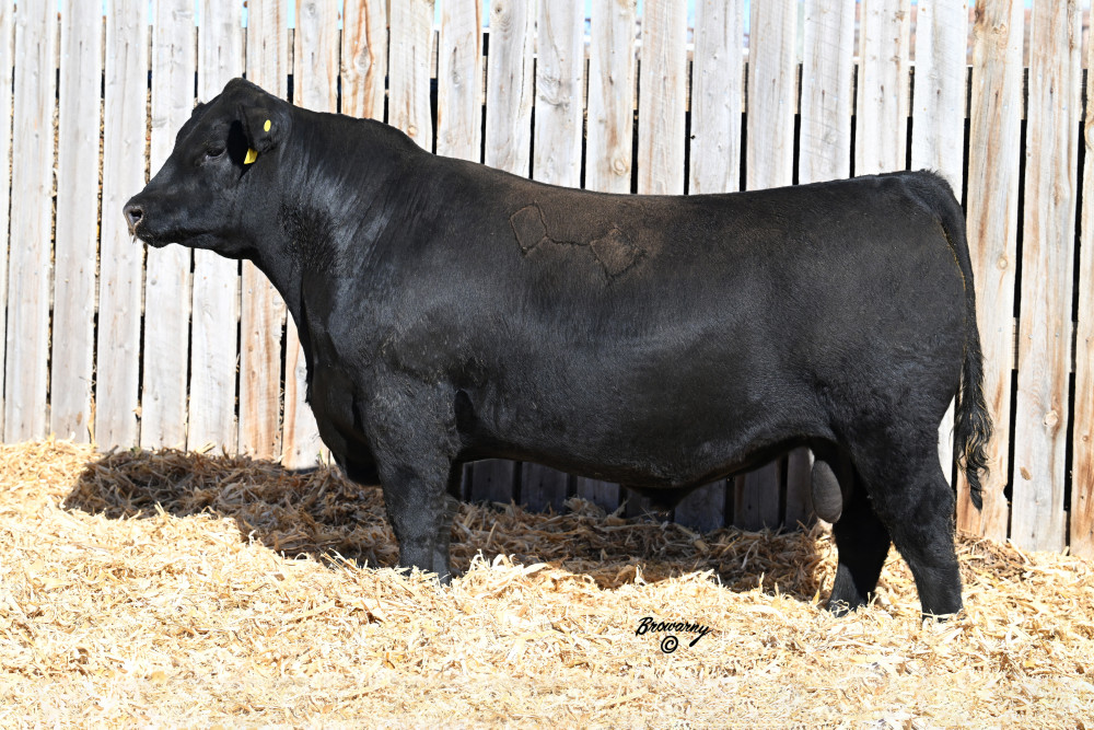 LCoC MS Stabilizer G056K Leachman Cattle Company