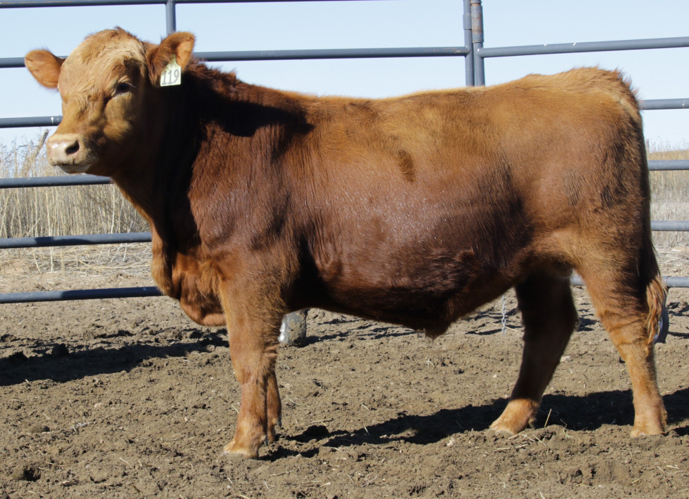 LCHMN Control K119 (B012K) Leachman Cattle Company