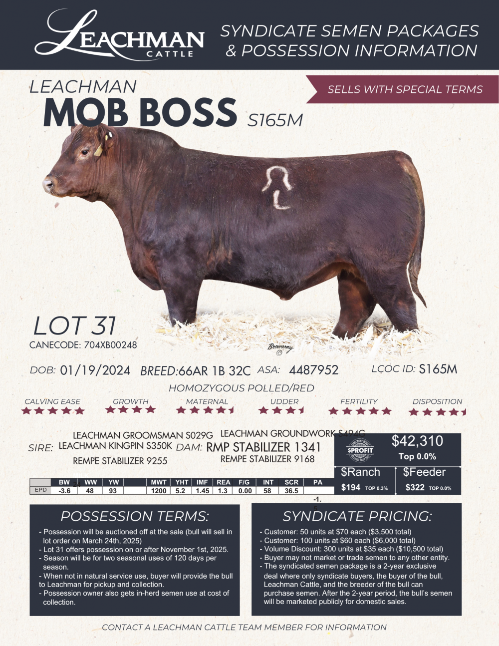Leach Boss Leachman Mob Boss S165M - Leachman Cattle Company
